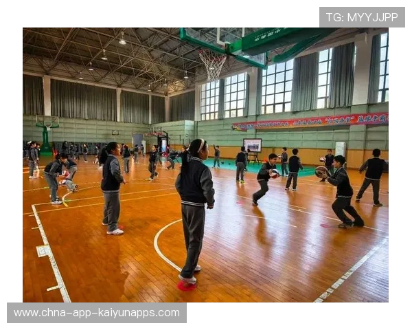 篮球在中国基础教育体系中的功能扩展分析，论述篮球在我国的发展状况